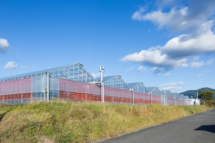 はるちかファーム外観