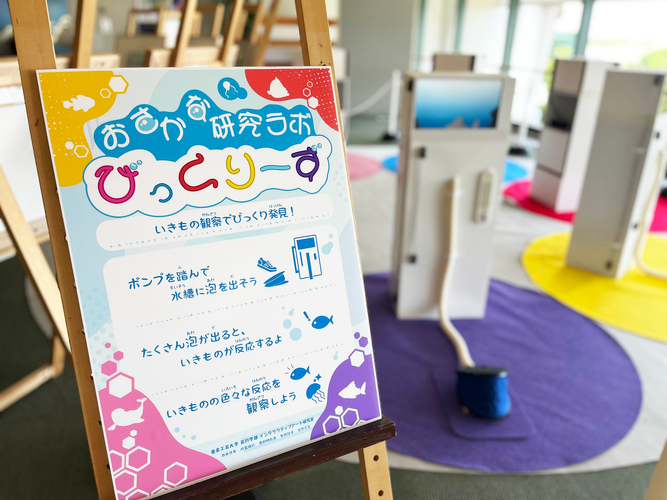 東京工芸大学インタラクティブメディア学科4年生5名が制作した作品の展示風景