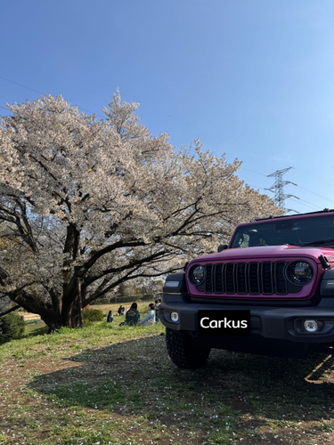 Carkusの画像マスク