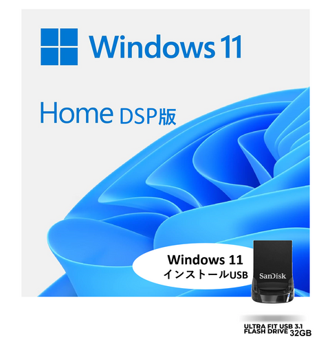 ③Windows 11 DSP 日本語版 (Home, インストールUSBセット) 