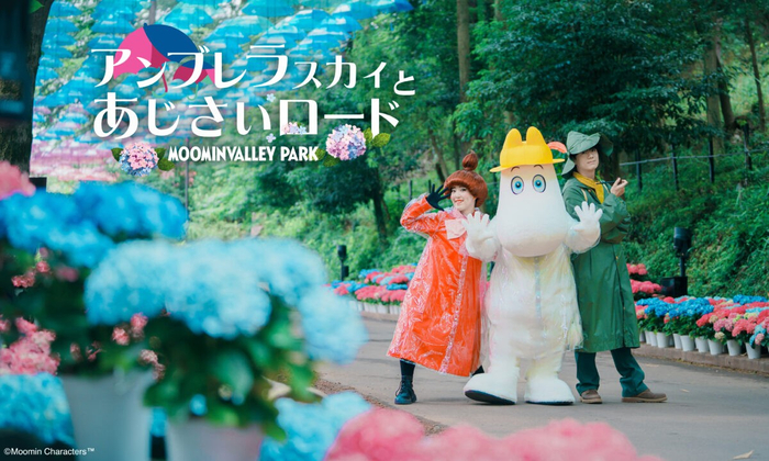 ※過去実施イメージ