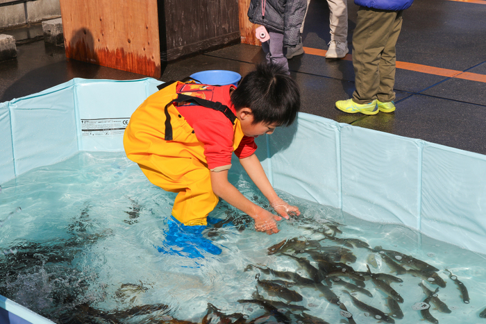 ニジマスつかみ取り