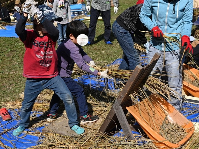 過去開催の様子:すごい迫力で頑張ってくれています