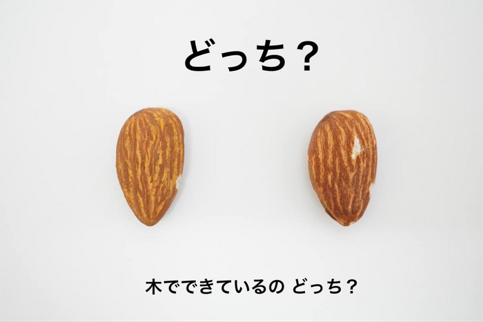 &copy;キボリノコンノ