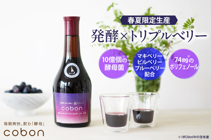 【春夏限定生産】発酵&times;トリプルベリー