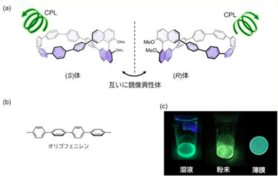 （図1）(a)開発した分子の構造、(左: (S)-体、右: (R)-体、らせん状の矢印は円偏光発光を表す)　(b)オリゴフェニレンの構造と、それをねじった構造及び輪にした構造