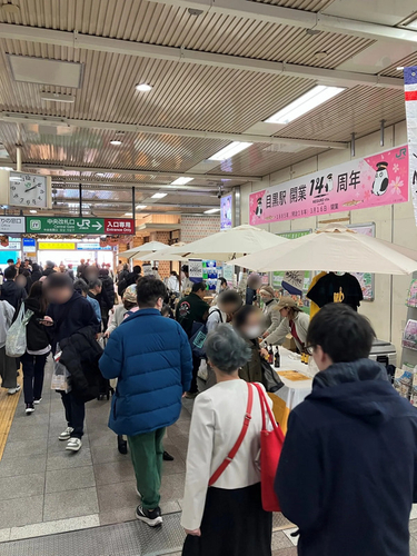 パラソルが並ぶ