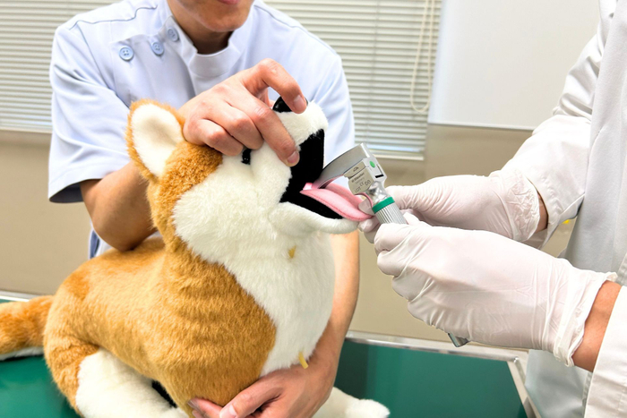 気管挿管中のしばわん