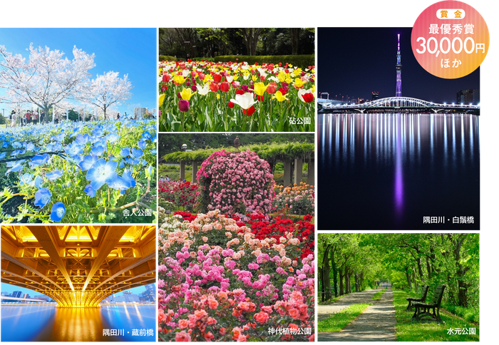 過去の入賞作品および、施設紹介写真