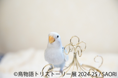 展示作品6