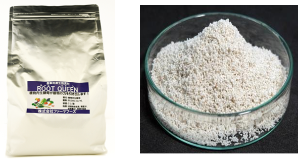 製品外観（チャック付きアルミパウチ）　　製品中身（パーライトに植物内生酵母を担持）