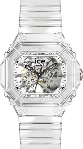 025684 / Transparent skeleton