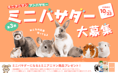 ミニバサダー大募集！