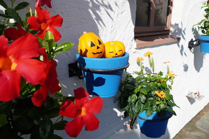 ハロウィーン装飾