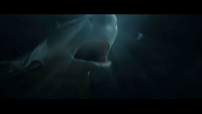  &copy; 2021 Acme Holding Company, LLC. All Rights Reserved.