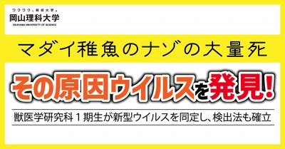 【岡山理科大学】マダイ稚魚のナゾの大量死、その原因ウイルスを発見！―獣医学研究科１期生が新型ウイルスを同定し、検出法も確立