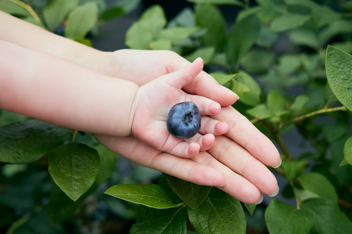 ブルーエンジェル