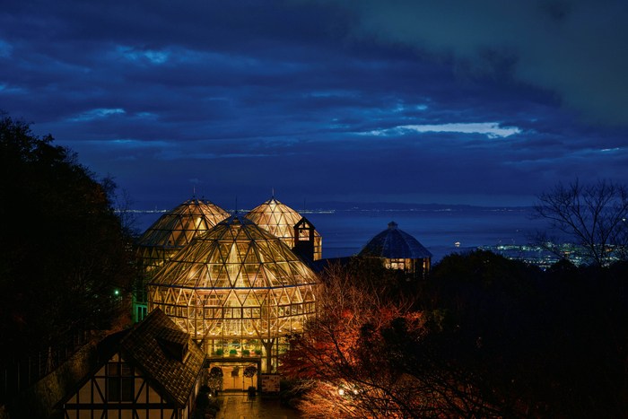 ザ・ヴェランダ クリスマス
