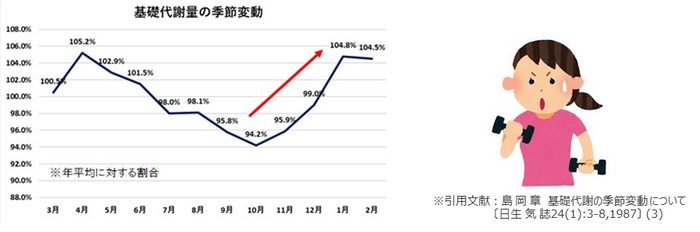 基礎代謝量の季節変動