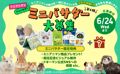 第4期ミニバサダー大募集!