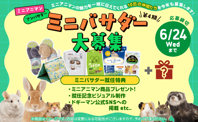 第4期ミニバサダー大募集!