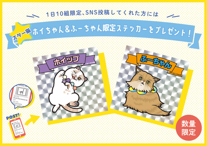 スター猫のオリジナルステッカープレゼント