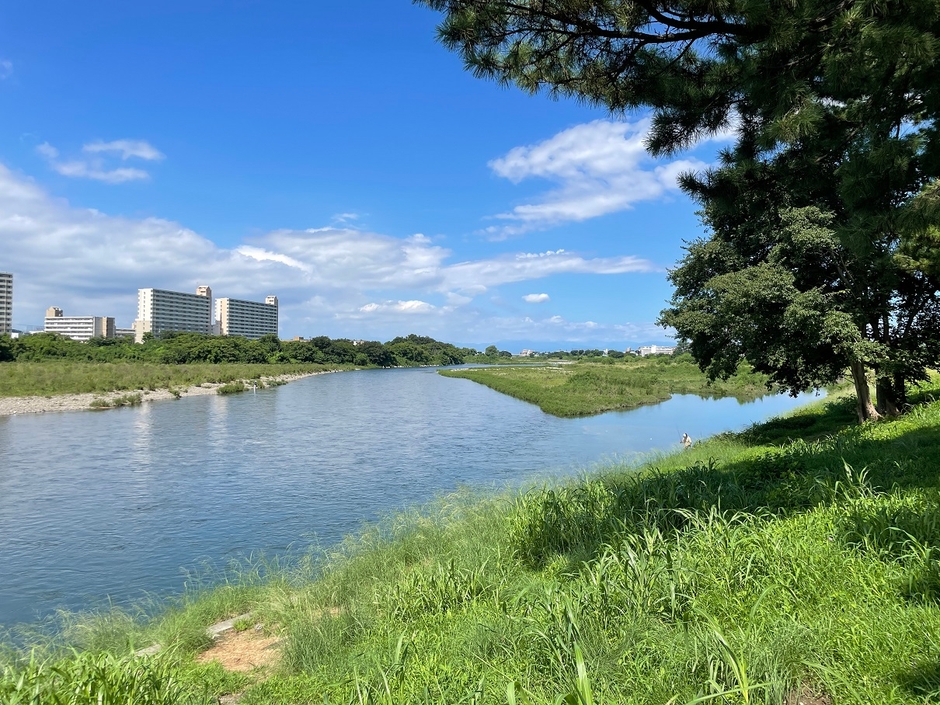 狛江の五本松からの眺め(多摩川)