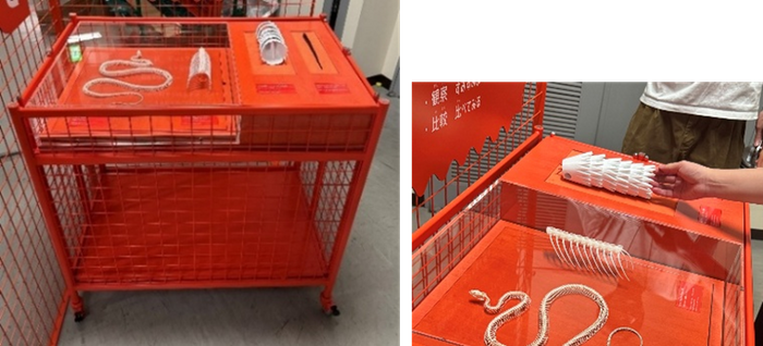 【展示台3】骨格標本とハンズオン