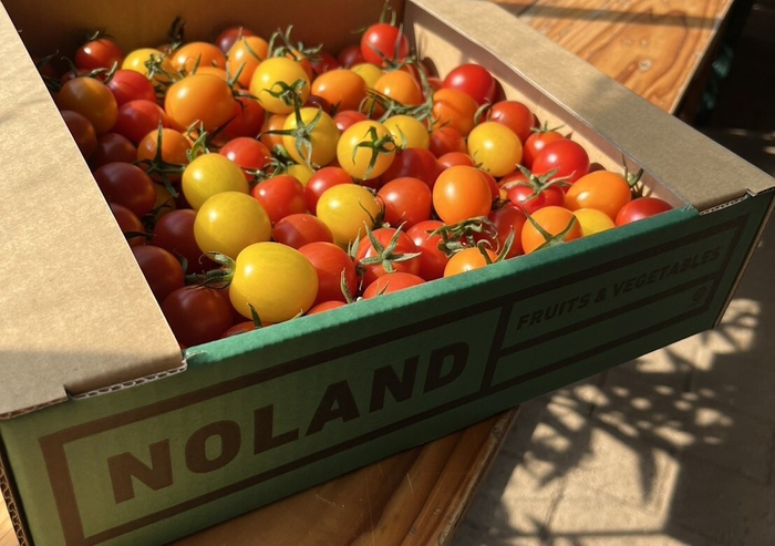 ミニトマト(ミックス)