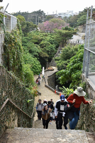 ウォーキング風景