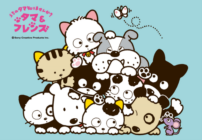 「タマ＆フレンズ～うちのタマ知りませんか？～」