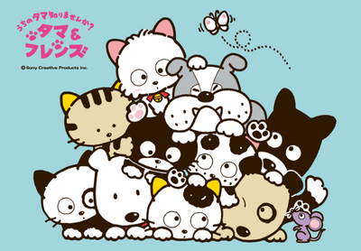 「タマ&フレンズ~うちのタマ知りませんか?~」