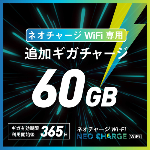60GB 4,980円(税込)