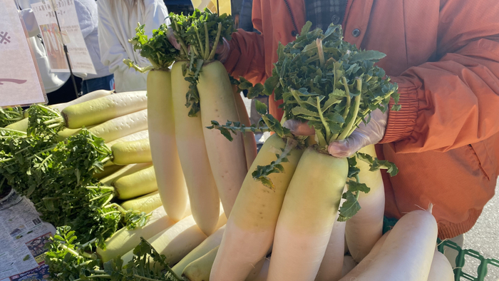 大根葉っぱ両手掴み