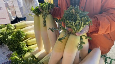 大根葉っぱ両手掴み