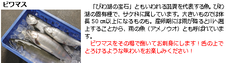 ビワマス