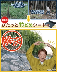 「毎年切っても生えてくる…」を解消！ 上から敷くだけで竹害を止める「ぴたっと竹どめシート」を発売