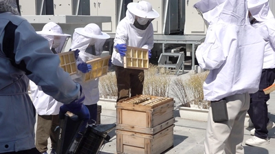 工作ワークショップ体験！都市養蜂を学べるイベントを6月14日（土）大阪で開催