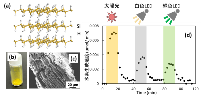 図1　層状水素化シリカンの結晶構造（a）、粉末の写真（b）、走査型電子顕微鏡像（c）、可視光による水素放出特性（d）。可視光は疑似太陽光、白色LED、緑色LEDを用いた。
