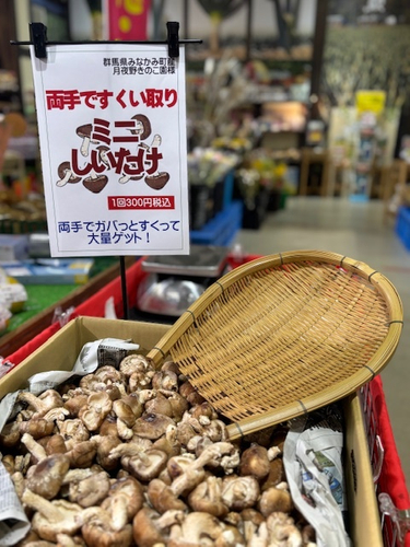 両手ですくい取り・ミニしいたけ