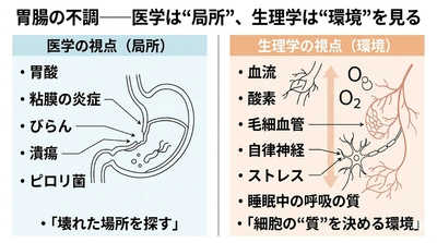 胃腸の不調は“胃腸”だけの問題ではない──全身で起きているサインとは。トラタニ株式会社が最新レポートを公開