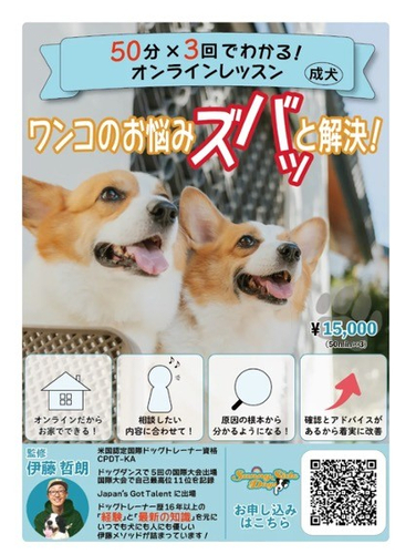 成犬　オンラインプログラム参加者募集‼︎