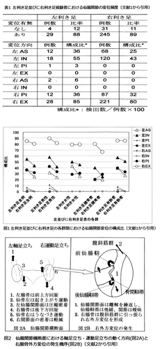 身体のパフォーマンスに影響をもたらす仙腸関節の歪み