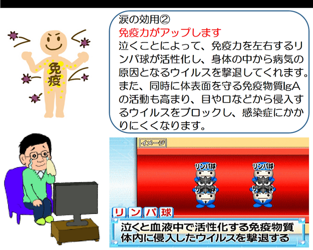 副交感神経が活発になると免疫力が上がります。