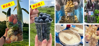 【道の駅木更津うまくたの里】土日・祝日開催の 農作物詰め放題に特別新企画！ 野菜10種詰め放題とブルーベリー詰め放題が各2日間限定で登場！