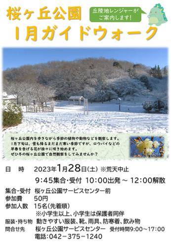 イベントチラシ