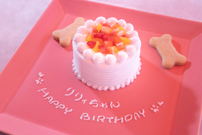 ▲「ワンちゃんバースデーケーキ」（イメージ）