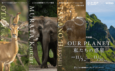 「OUR PLANET│私たちの惑星」