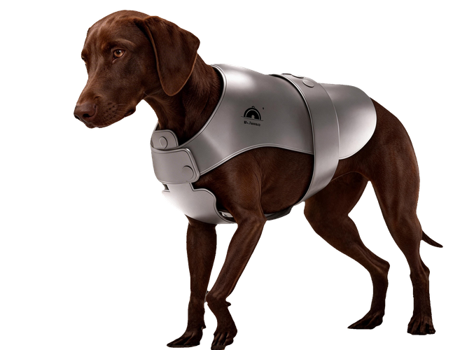 ペット（犬）用アイスベスト