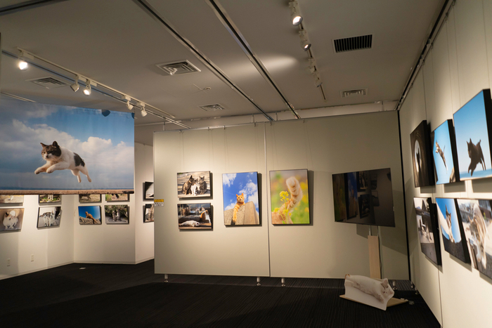 過去の展示の様子(郵政博物館)2